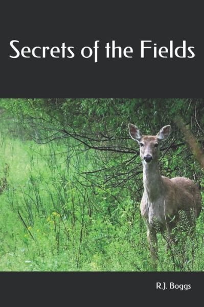 Cover for R J Boggs · Secrets of the Fields (Pocketbok) (2019)