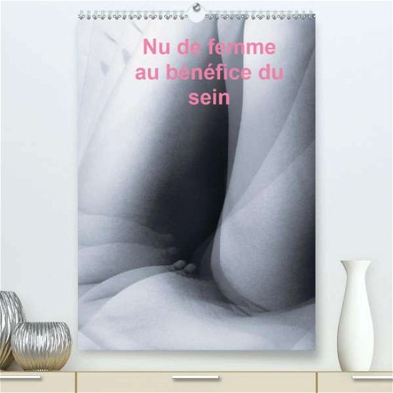 Cover for Mp · Nu de femme au bénéfice du sein (Pre (Book)