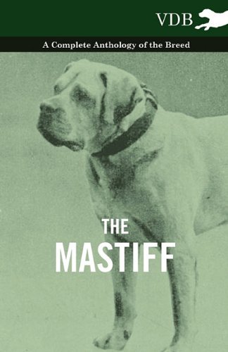 Cover for The Mastiff - a Complete Anthology of the Breed (Pocketbok) (2010)