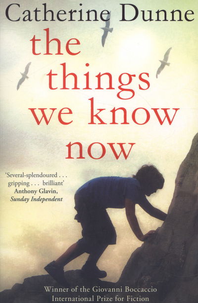 Cover for Catherine Dunne · The Things We Know Now (Paperback Book) [Main Market Ed. edition] (2013)