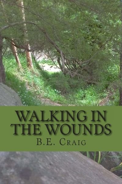 Cover for B E Craig · Walking in the Wounds (Paperback Bog) (2017)