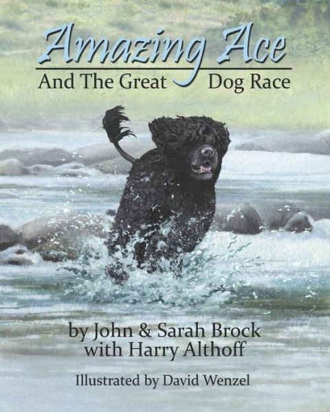 Cover for John Brock · Amazing Ace (Pocketbok) (2015)
