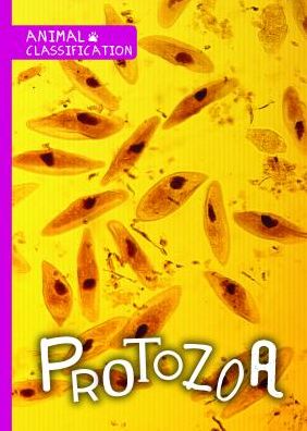 Protozoa - Joanna Brundle - Books - Kidhaven Publishing - 9781534530317 - July 30, 2019