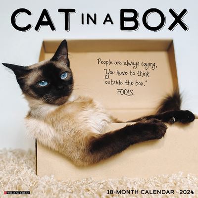 Cat in a Box 2024 12 X 12 Wall Calendar - Willow Creek Press - Gadżety - Willow Creek Press - 9781549237317 - 1 sierpnia 2023