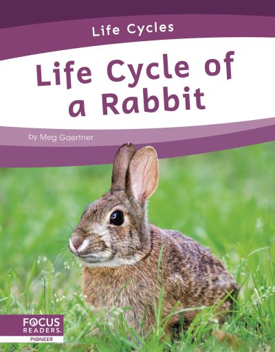 Cover for Meg Gaertner · Life Cycle of a Rabbit - Life Cycles (Hardcover Book) (2021)