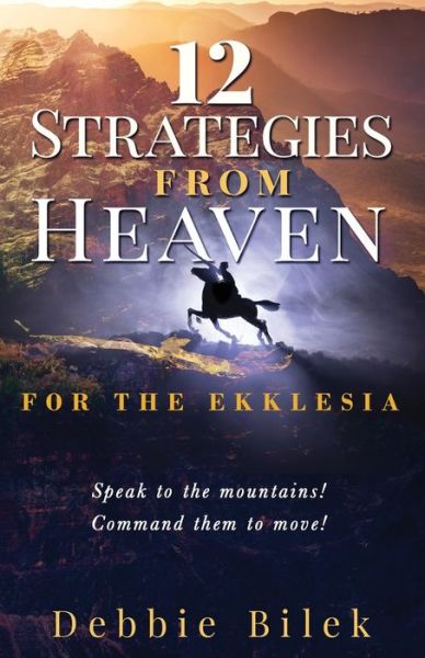 Cover for Debbie Bilek · 12 Strategies from Heaven (Paperback Book) (2020)
