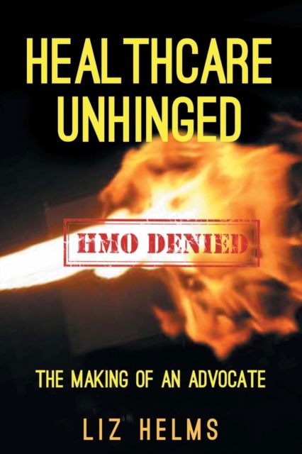 Cover for Liz Helms · Healthcare Unhinged (Paperback Book) (2016)