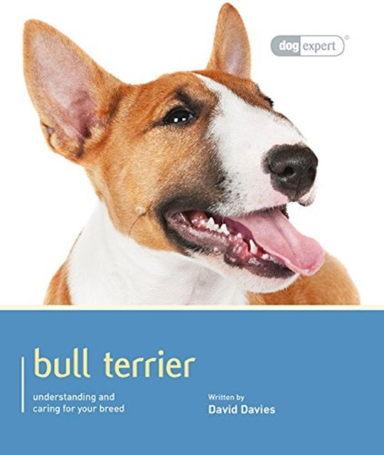 Cover for David Davies · Bull Terrier - Dog Expert (Paperback Book) (2016)