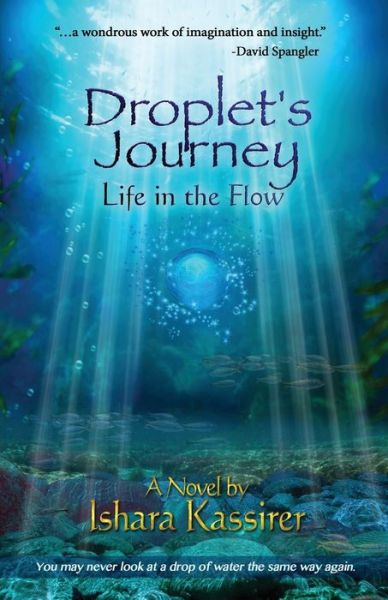 Cover for Ishara Kassirer · Droplet's Journey (Paperback Book) (2016)