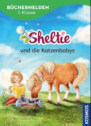 Sheltie, Bücherhelden 1. Klasse, Sheltie und die Katzenbabys - Carola von Kessel - Boeken - Kosmos - 9783440178317 - 22 januari 2024