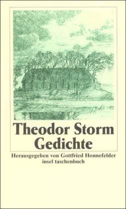 Cover for Theodor Storm · Insel TB.0731 Storm.Gedichte (Bog)