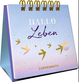 Cover for Christina Kölsch · HALLO Leben (Book) (2024)