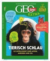 Cover for Rosa Wetscher · GEOlino Extra / GEOlino extra 93/2022 - Tierisch schlau (Bok) (2022)