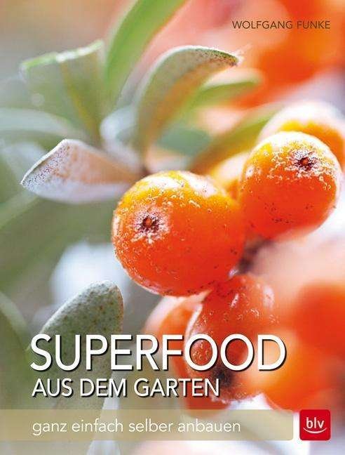 Cover for Funke · Superfood aus dem Garten (Bok)