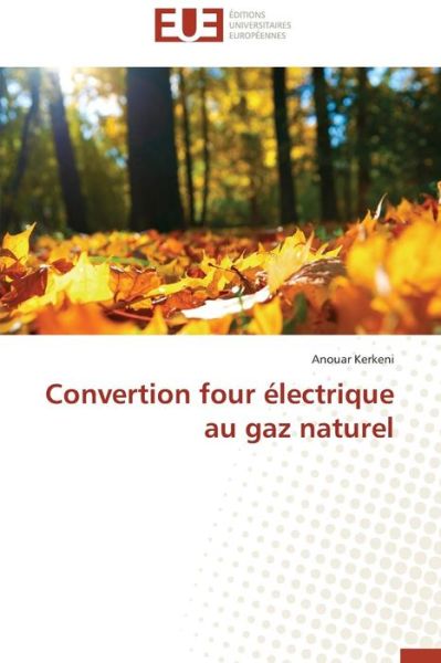 Cover for Anouar Kerkeni · Convertion Four Électrique Au Gaz Naturel (Paperback Book) [French edition] (2018)
