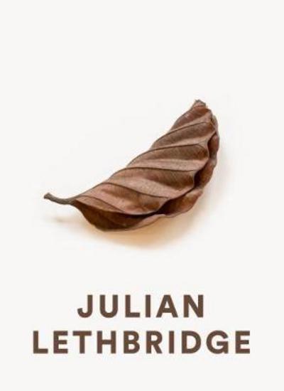 Cover for Robert Storr · Julian Lethbridge (Hardcover bog) (2018)