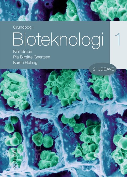 Cover for Kim Bruun; Karen Helmig; Pia Birgitte Geertsen · Grundbog i bioteknologi - STX: Grundbog i bioteknologi 1 - STX (Taschenbuch) [2. Ausgabe] (2018)