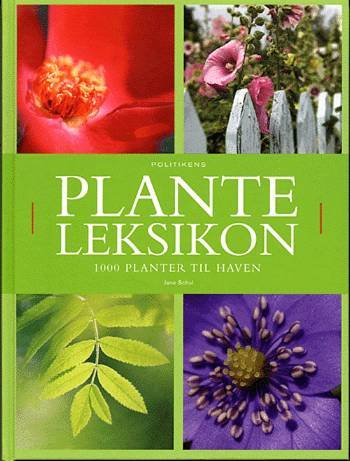Cover for Jane Schul · Politiken håndbøger: Politikens planteleksikon (Bound Book) [1st edition] (2005)