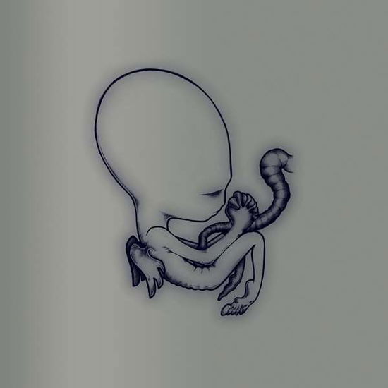 Ágætis byrjun - A Good Beginning - Sigur Ros - Musiikki - ADA UK - 0190296904318 - perjantai 5. heinäkuuta 2019