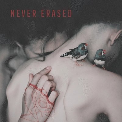 Cover for Various Artists · Never Erased (LP) (2023)