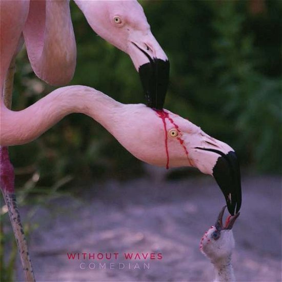 Cover for Without Waves · Comedian (LP) (2022)