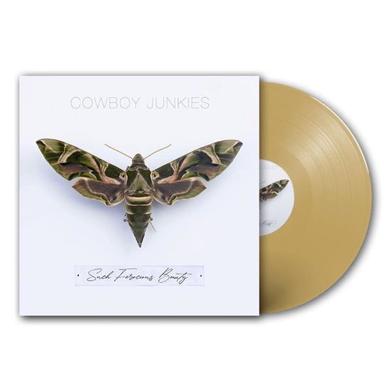 Cover for Cowboy Junkies · Such Ferocious Beauty (Tan Coloured Vinyl) (LP) [Limited edition] (2023)