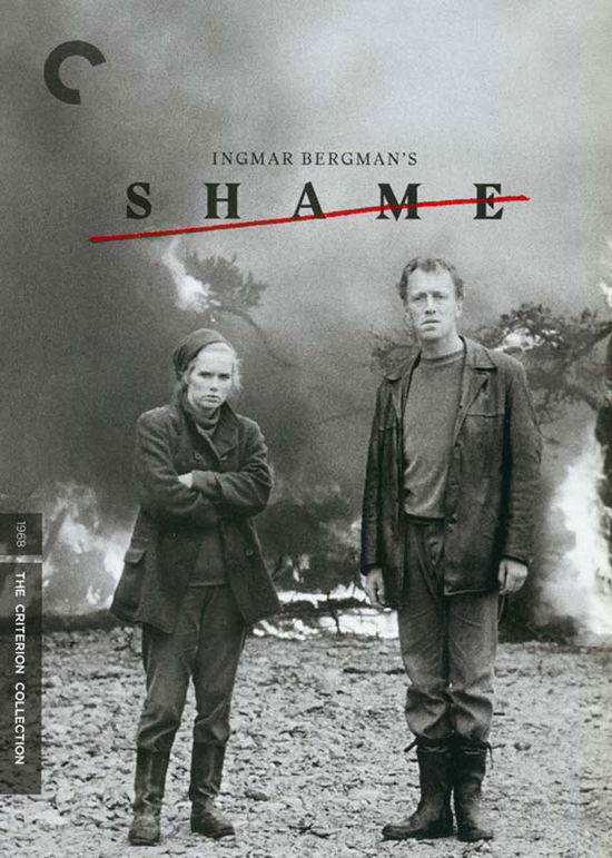 Cover for Criterion Collection · Shame / DVD (DVD) (2019)