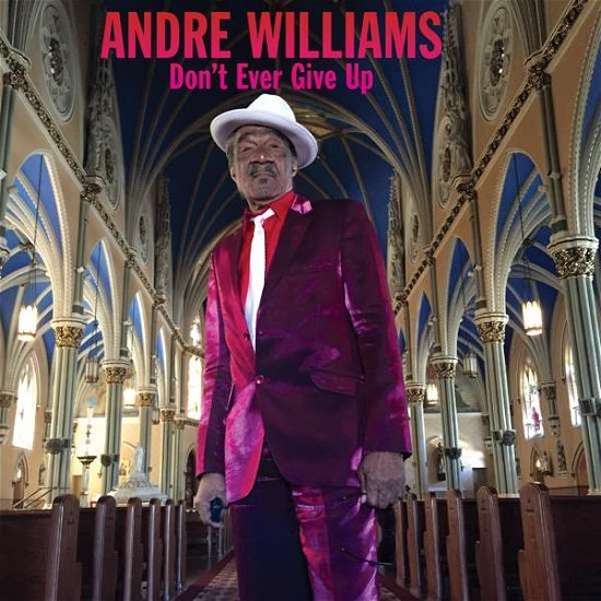 Cover for Andre Williams · Don’t Ever Give Up (LP) (2020)