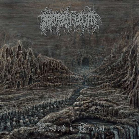 Cover for Mortiferum · Preserved in Torment (LP) (2021)