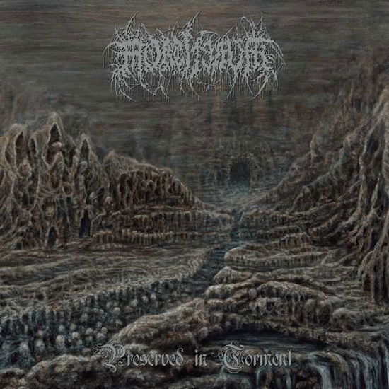 Preserved in Torment - Mortiferum - Music - PROFOUND LORE - 0843563142318 - December 24, 2021