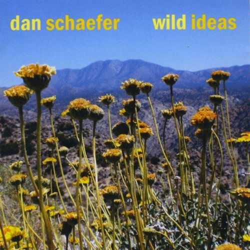 Cover for Dan Schaefer · Wild Ideas (CD) (2010)