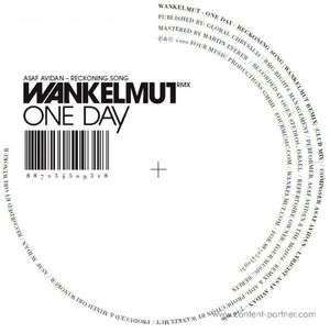 One Day / Reckoning Song (Wankelmut Rmx) - Asaf Avidan - Musik - four music - 0887254509318 - 17. oktober 2012