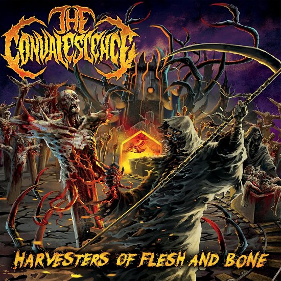 Convalescence · Harvesters Of Flesh And Bone (LP) (2024)