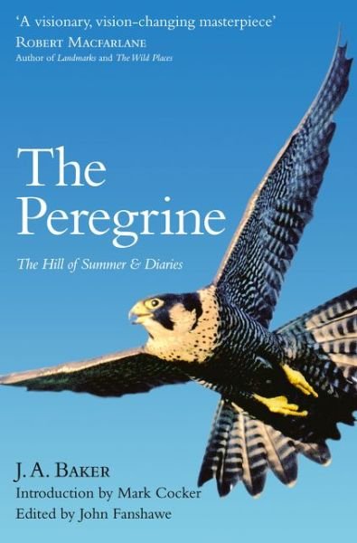 Cover for J. A. Baker · The Peregrine: The Hill of Summer &amp; Diaries: the Complete Works of J. A. Baker (Paperback Bog) (2015)