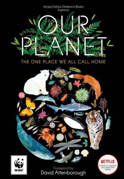 Cover for Matt Whyman · Our Planet (Innbunden bok) (2019)