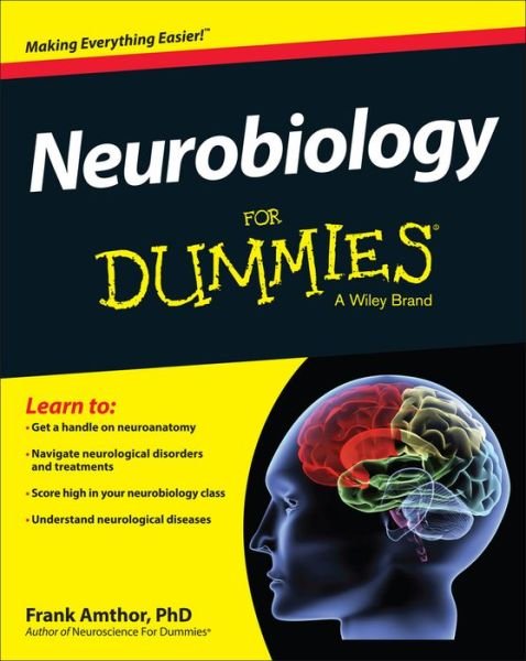 Cover for Frank Amthor · Neurobiology For Dummies (Pocketbok) (2014)