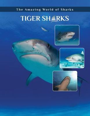 Cover for Elizabeth Roseborough · Tiger Sharks - Amazing World of Sharks (Hardcover Book) (2018)