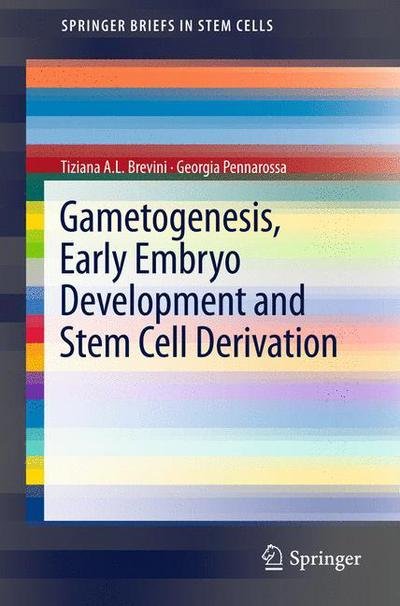 Cover for Tiziana A.l. Brevini · Gametogenesis, Early Embryo Development and Stem Cell Derivation - Springerbriefs in Stem Cells (Paperback Bog) (2012)
