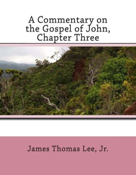 Cover for Mr James Thomas Lee Jr · A Commentary on the Gospel of John, Chapter Three (Paperback Book) (2013)