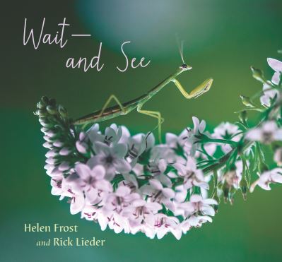 Wait and See - Helen Frost - Books - Candlewick - 9781536216318 - May 24, 2022