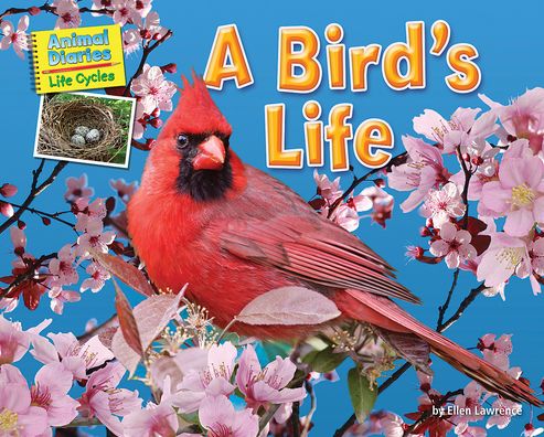 Bird's Life - Ellen Lawrence - Books - Bearport Publishing Company, Incorporate - 9781642807318 - 2020