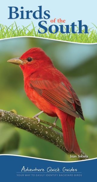 Birds of the South: Your Way to Easily Identify Backyard Birds - Adventure Quick Guides - Stan Tekiela - Books - Adventure Publications, Incorporated - 9781647550318 - April 29, 2021