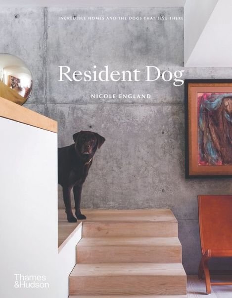 Cover for Nicole England · Resident Dog (Book) (2020)
