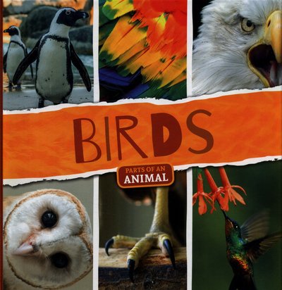 Cover for Joanna Brundle · Birds - Parts of an Animal (Paperback Book) (2018)