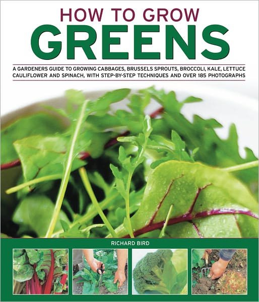 Cover for Richard Bird · How to Grow Greens (Paperback Book) (2016)