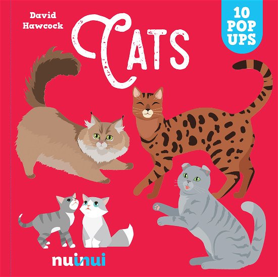Cover for David Hawcock · Cats. Ediz. A Colori (Book)