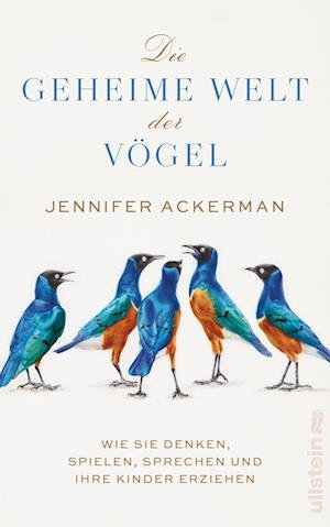 Cover for Jennifer Ackerman · Die geheime Welt der Vögel (Bog) (2023)