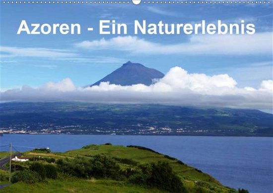 Cover for Löwe · Azoren - Ein Naturerlebnis (Wandka (Bok)