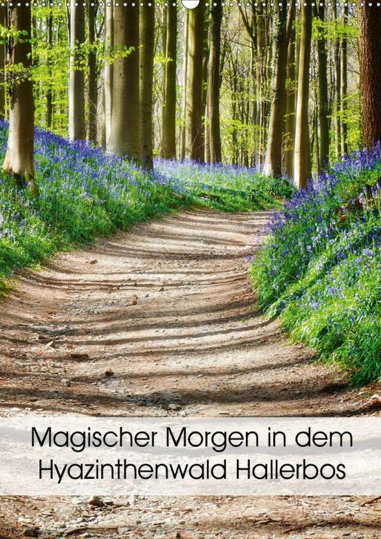 Magischer Morgen in dem Hyazint - Patrick - Bücher -  - 9783672068318 - 