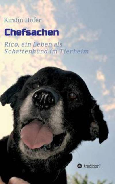 Chefsachen - Höfer - Bøger -  - 9783734511318 - 25. februar 2016